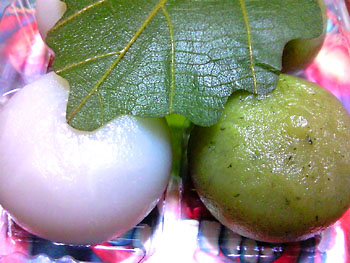 20100505-2.jpg
