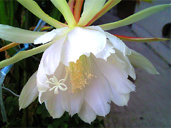 20100525-1.jpg