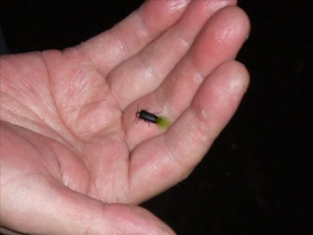 20100605-1.jpg