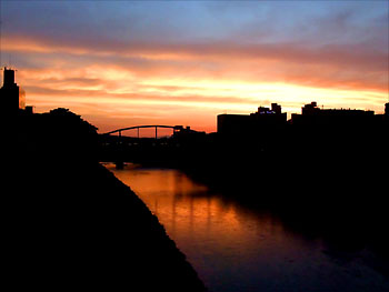 20100610-1.jpg