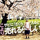 サビに「さくら」で入ると売れるらしい/こより 20100611.jpg
