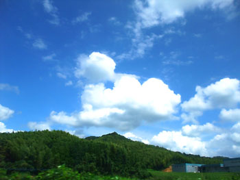 20100806-1.jpg