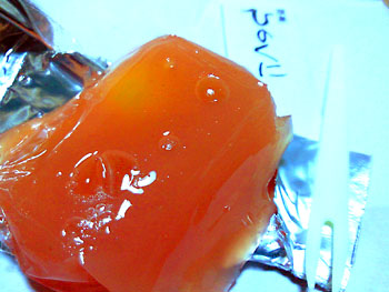 20100917-1.jpg
