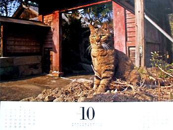 20101001-1.jpg