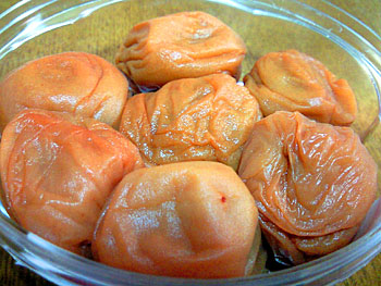 20101108-1.jpg