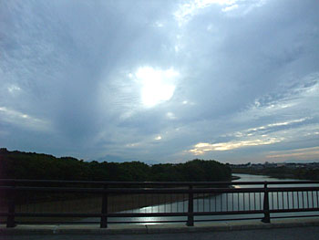 薄曇りといった風情。 20101114-1.jpg
