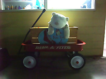 20101115-1.jpg