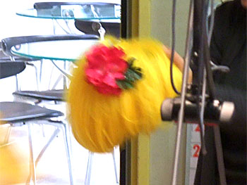20101126-1.jpg