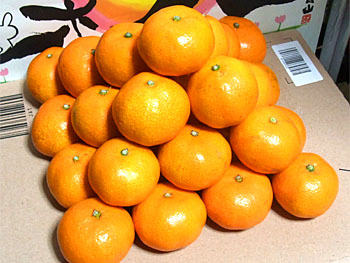 20101130-1.jpg