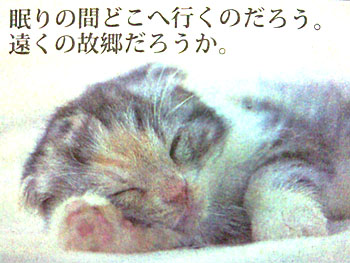 20101226-1.jpg