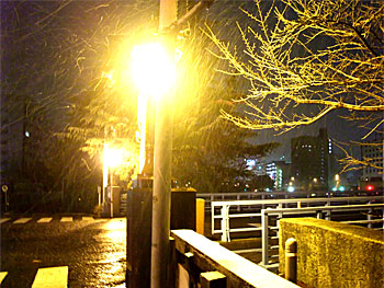 20101231-1.jpg