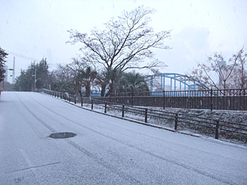 20110101-1.jpg