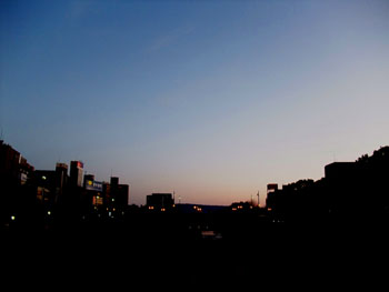 20110108-1.jpg