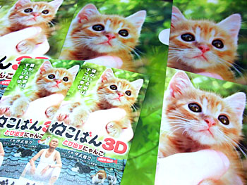 20110204-1.jpg