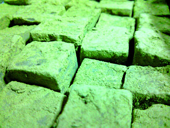 20110214-1.jpg