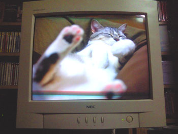 20110215-1.jpg