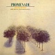 Promenade/Kevin Burke & Micheal O'Domhnaill 20110318.jpg