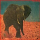 晩餐/フード・ブレイン 20110422.jpg