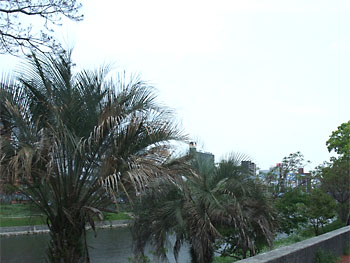 20110502-1.jpg