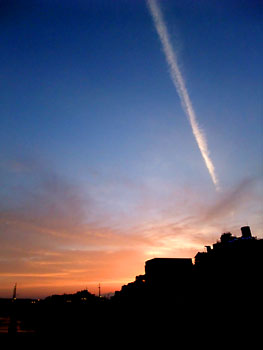 20110530-1.jpg