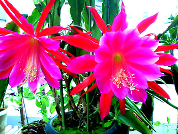 20110609-1.jpg