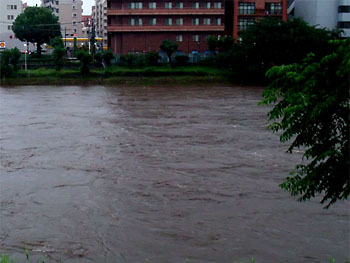 20110612-1.jpg