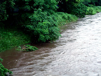 20110621-1.jpg