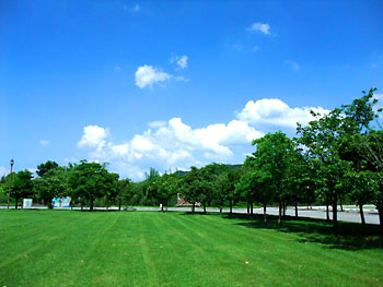 20110628-1.jpg