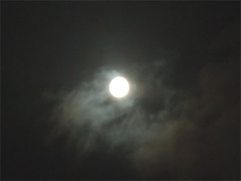 20110713-1.jpg