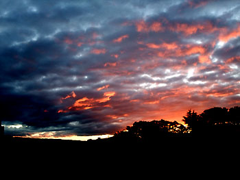 20110714-1.jpg