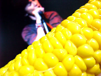 20110725-1.jpg