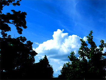 20110801-1.jpg