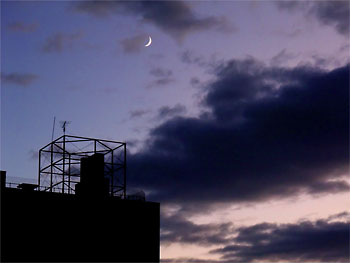 20110803-1.jpg