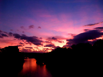 20110805-1.jpg