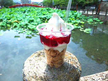 20110811-1.jpg