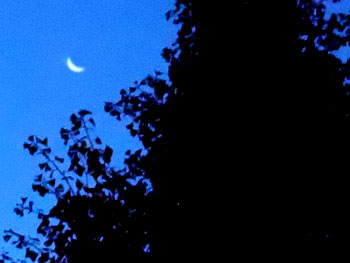201108124-1.jpg