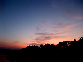 20110831-1.jpg