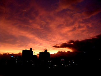20110903-1.jpg
