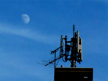 20110907-1.jpg