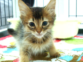 20110923-2.jpg