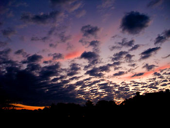 20110928-1.jpg