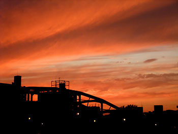 20111017-1.jpg