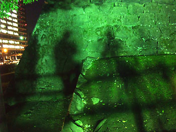 20111019-1.jpg