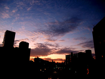 20111108-1.jpg