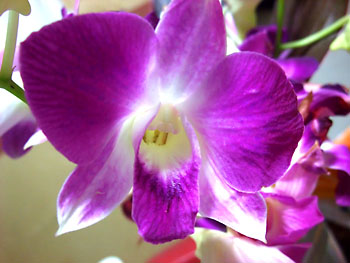 20111110-1.jpg
