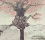 奥の細道/石割桜 20111120.jpg