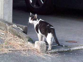 20111128-1.jpg