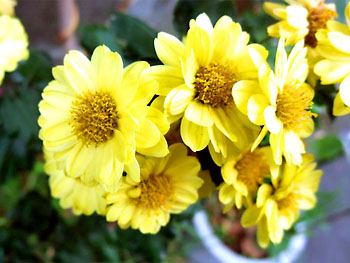 20111211-1.jpg