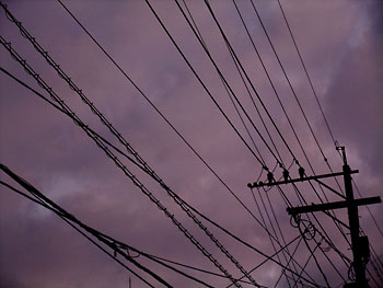 20111212-1.jpg