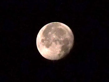 20111213-1.jpg